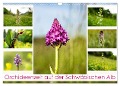 Orchideenzeit auf der Schwäbischen Alb (Wandkalender 2025 DIN A3 quer), CALVENDO Monatskalender - Monika Scheurer