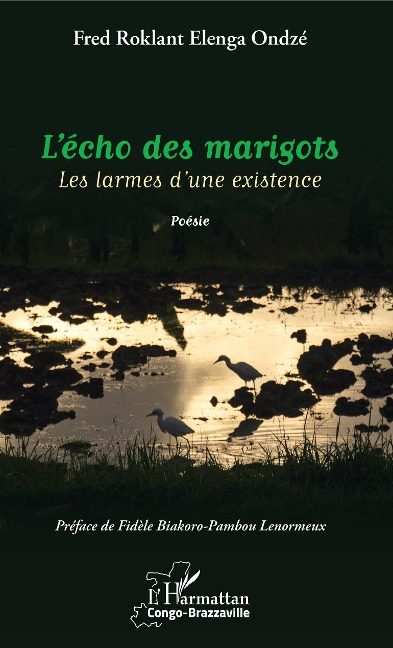 L'écho des marigots - Elenga Ondze