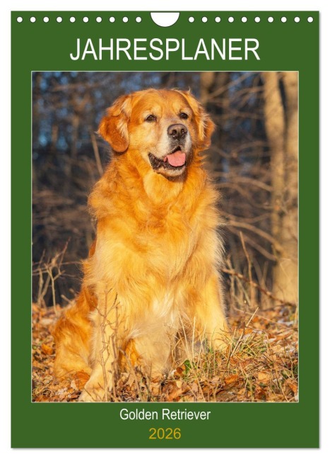 Jahresplaner Golden Retriever (Wandkalender 2026 DIN A4 hoch), CALVENDO Monatskalender - Sigrid Starick