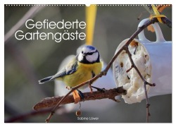 Gefiederte Gartengäste (Wandkalender 2025 DIN A2 quer), CALVENDO Monatskalender - Sabine Löwer