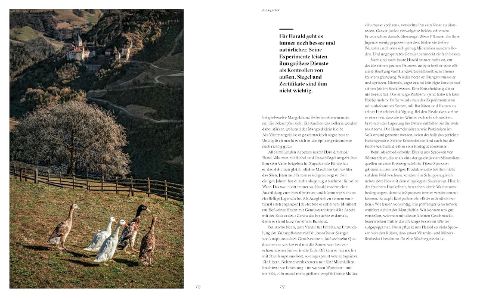 InsideView 6