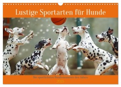 Lustige Sportarten für Hunde (Wandkalender 2025 DIN A3 quer), CALVENDO Monatskalender - Daniela Tapper