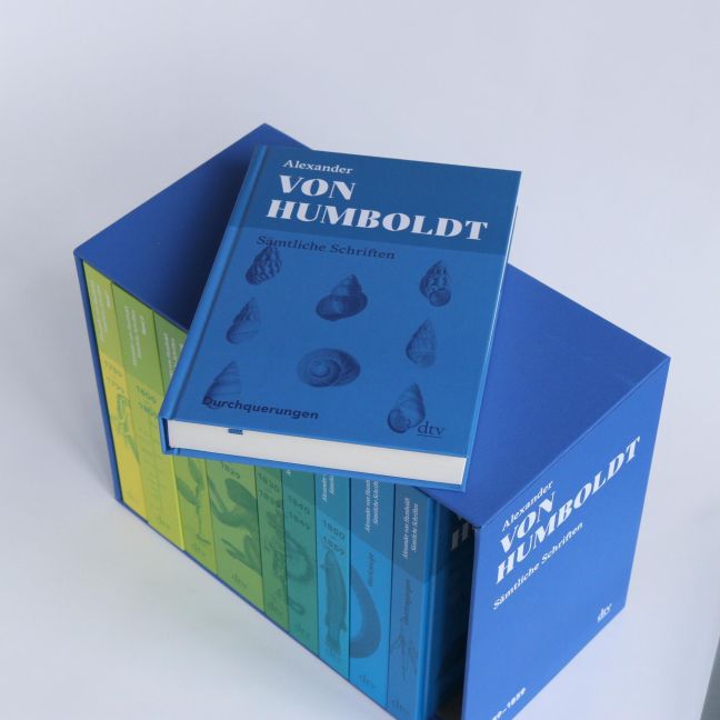 InsideView 3
