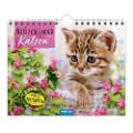 Trötsch Notizkalender Querformat Notizkalender Katzen 2025 mit 12 Postkarten - 