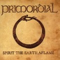 Cover-Bild zum Titel 'Spirit The Earth Aflame' von 'Primordial'