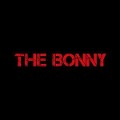 Cover-Bild zum Titel 'The Bonny' von 'Gerry Cinnamon'