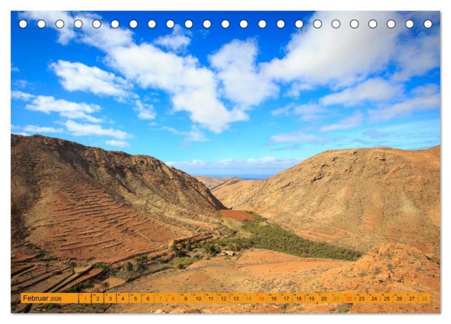 InsideView 7