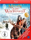 Cover-Bild zum Titel 'Mitten in der Winternacht' von 'Daan Bakker, Marco van Geffen, Marko van Geffen, Alexander Reumers, Jorrit Kleijnen'