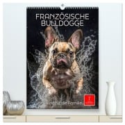 Cover-Bild zum Titel 'Französische Bulldogge - ein Hund für die Familie (hochwertiger Premium Wandkalender 2026 DIN A2 hoch), Kunstdruck in Hochglanz' von 'Peter Roder'