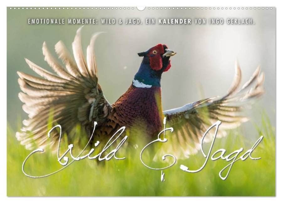 Emotionale Momente: Wild und Jagd. (Wandkalender 2026 DIN A2 quer), CALVENDO Monatskalender - Ingo Gerlach