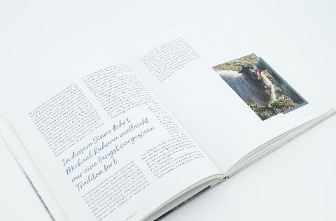 InsideView 6