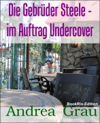 Cover-Bild zum Titel 'Die Gebrüder Steele - im Auftrag Undercover' von 'Andrea Grau'