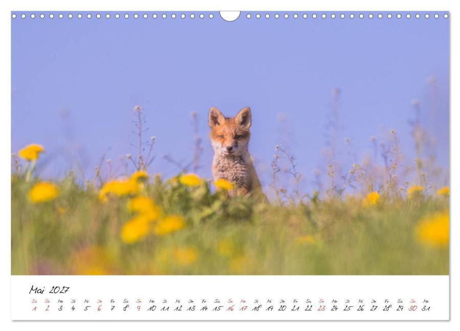 InsideView 10