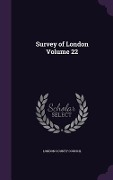Cover-Bild zum Titel 'Survey of London Volume 22' von ''