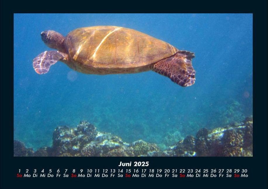 InsideView 10