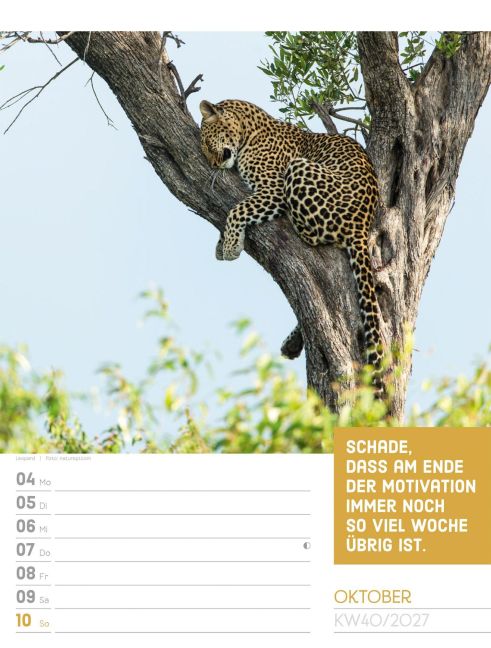 InsideView 44