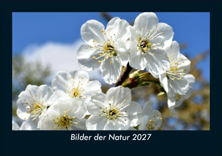 Bilder der Natur 2027 Fotokalender DIN A5 - Tobias Schmitt, Kevin Heber