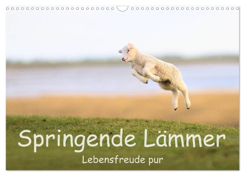 Springende Lämmer: Lebensfreude pur (Wandkalender 2024 DIN A3 quer), CALVENDO Monatskalender - Elmar Weiss