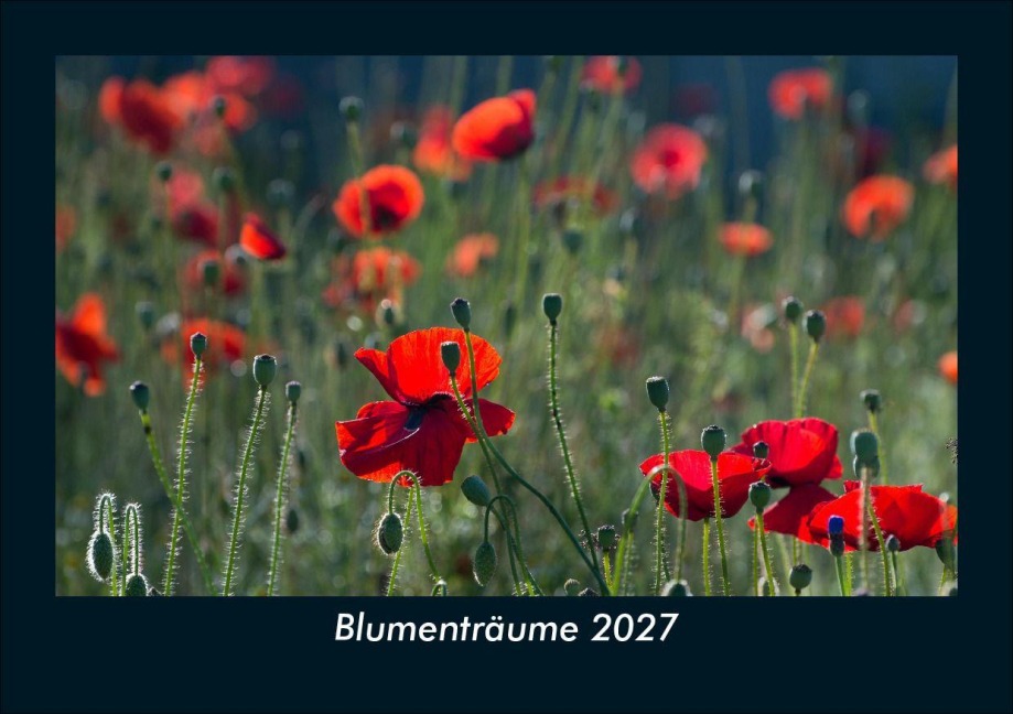 Blumenträume 2027 Fotokalender DIN A5 - Tobias Schmitt, Kevin Heber