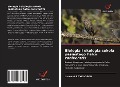 Cover-Bild zum Titel 'Biologia i ekologia soko¿a pasiastego Falco zoniventris' von 'Laurent Raveloson'