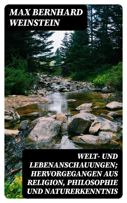 Welt- und Lebenanschauungen; hervorgegangen aus Religion, Philosophie und Naturerkenntnis - Max Bernhard Weinstein