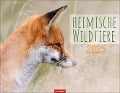 Heimische Wildtiere Kalender 2025 - 