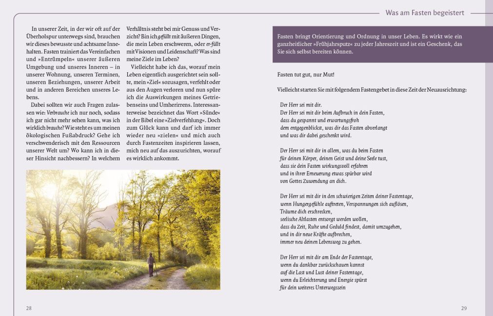 InsideView 3