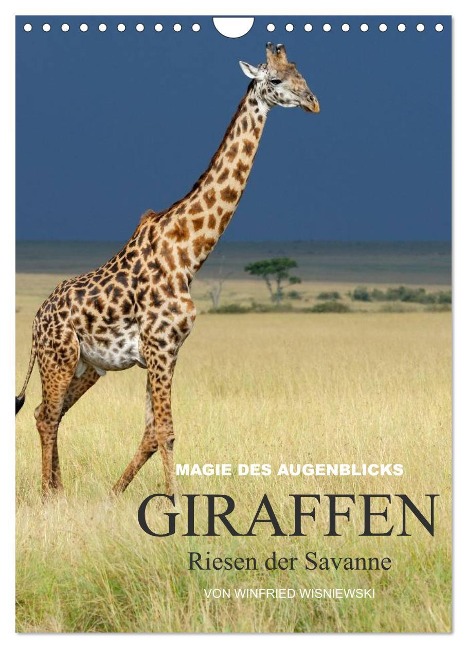 Magie des Augenblicks - Giraffen - Riesen der Savanne (Wandkalender 2024 DIN A4 hoch), CALVENDO Monatskalender - Winfried Wisniewski