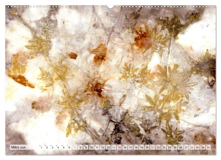 InsideView 8