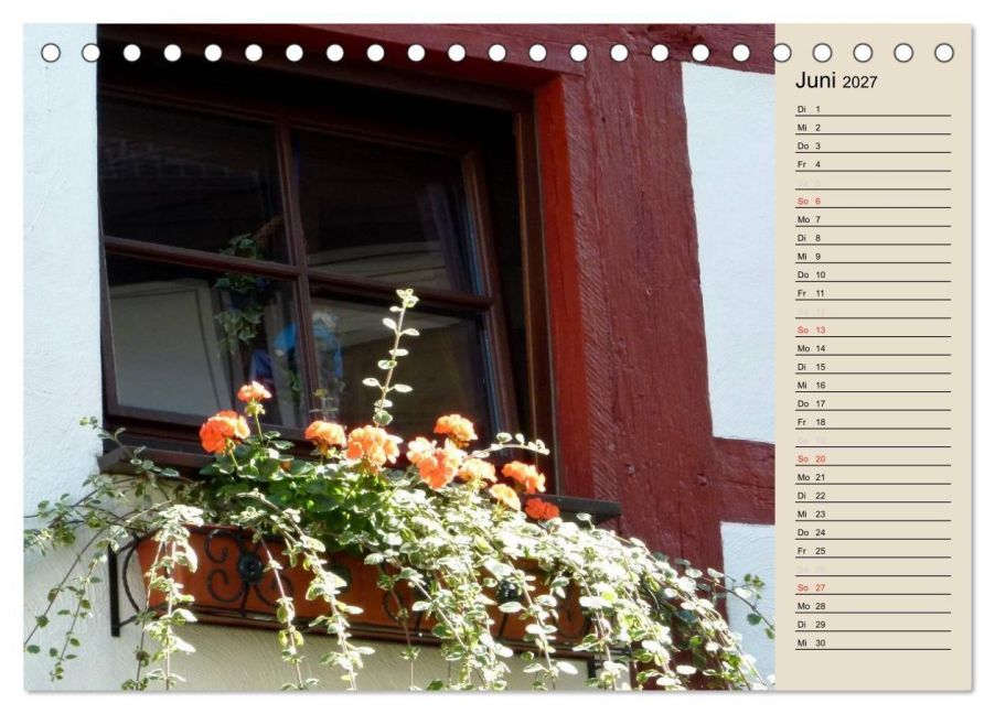 InsideView 11