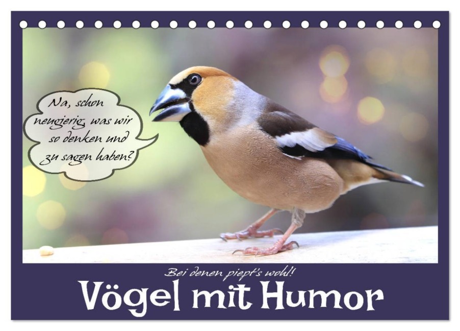 Vögel mit Humor (Tischkalender 2026 DIN A5 quer), CALVENDO Monatskalender - Sabine Löwer