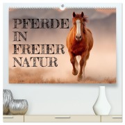 Cover-Bild zum Titel 'Pferde in freier Natur (hochwertiger Premium Wandkalender 2026 DIN A2 quer), Kunstdruck in Hochglanz' von 'Mb Fotografie'