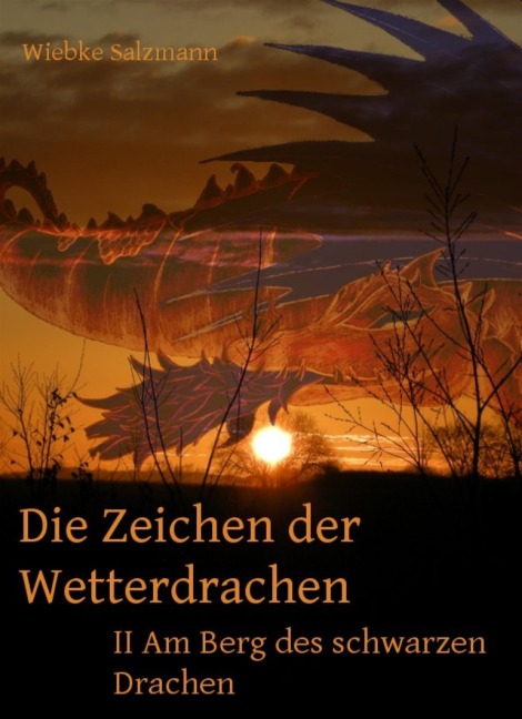 Die Zeichen der Wetterdrachen - Wiebke Salzmann