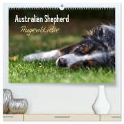 Cover-Bild zum Titel 'Australian Shepherd - Augenblicke (hochwertiger Premium Wandkalender 2026 DIN A2 quer), Kunstdruck in Hochglanz' von 'David Andrey'