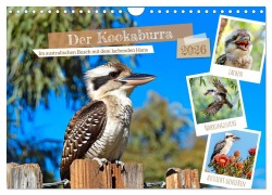 Cover-Bild zum Titel 'Der Kookaburra - Im australischen Busch mit dem lachenden Hans (Wandkalender 2026 DIN A4 quer), CALVENDO Monatskalender' von 'Anja Frost'