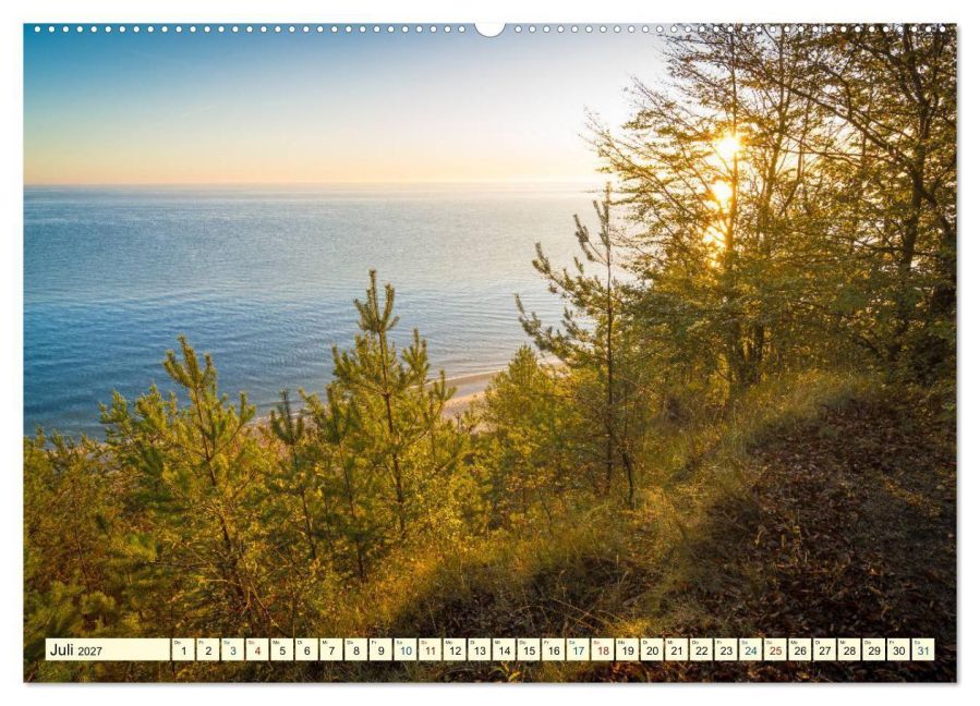 InsideView 12