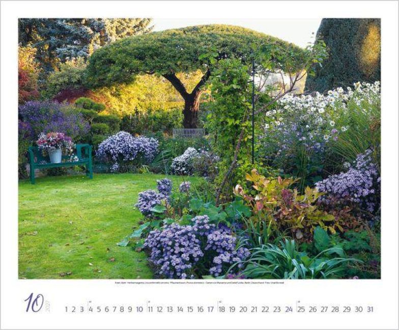 InsideView 10