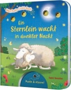 Cover-Bild zum Titel 'Mein Puste-Licht-Buch: Ein Sternlein wacht in dunkler Nacht' von 'Sylvia Tress'