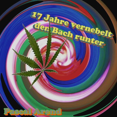 17 Jahre vernebelt den Bach runter - Pascal Arend