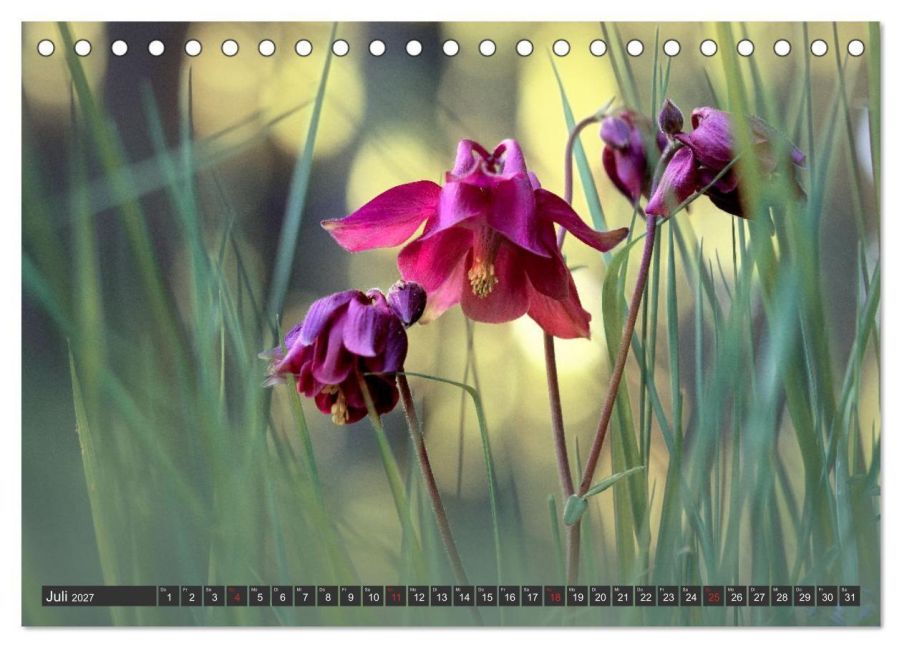 InsideView 12