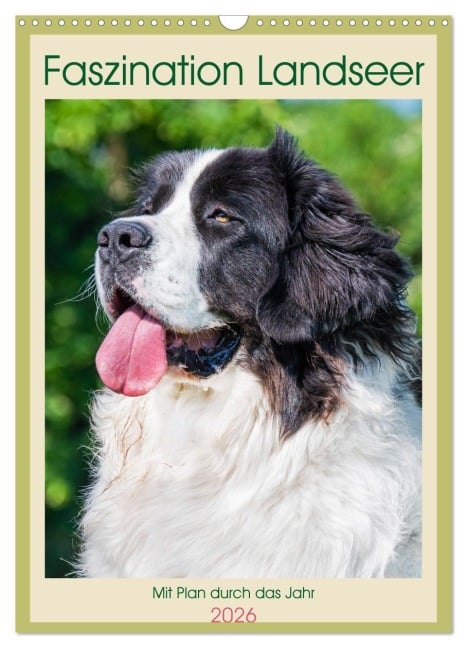 Faszination Landseer - Mit Plan durch das Jahr (Wandkalender 2026 DIN A3 hoch), CALVENDO Monatskalender - 
