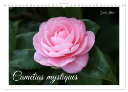 Cover-Bild zum Titel 'Camélias mystiques (Calendrier mural 2026 DIN A4 vertical), CALVENDO calendrier mensuel' von 'Gisela Kruse'