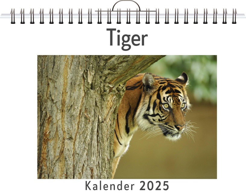 Tiger - Emil Münch
