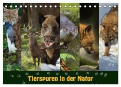 Tierspuren in der Natur (Tischkalender 2026 DIN A5 quer), CALVENDO Monatskalender - Johann Schörkhuber