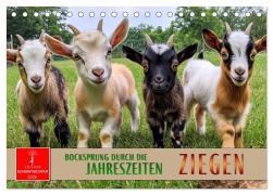 Cover-Bild zum Titel 'Ziegen - Bocksprung durch das Jahr (Tischkalender 2026 DIN A5 quer), CALVENDO Monatskalender' von 'Peter Roder'