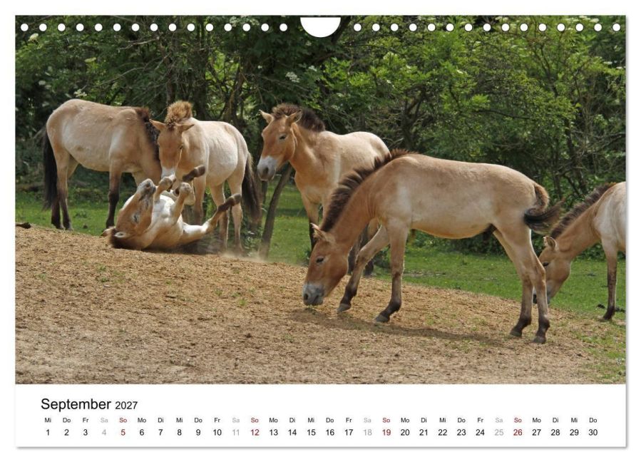 InsideView 14