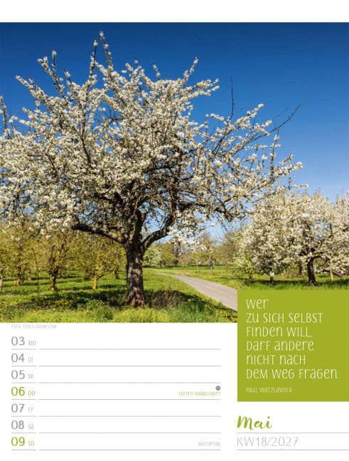 InsideView 22