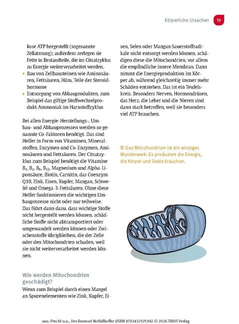 InsideView 14