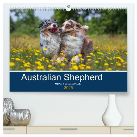 Australian Shepherd 2025 (hochwertiger Premium Wandkalender 2025 DIN A2 quer), Kunstdruck in Hochglanz - Annett Mirsberger