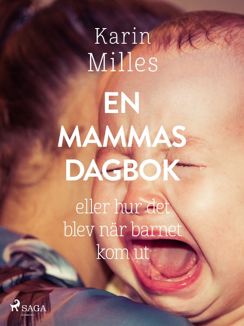 En mammas dagbok - Karin Milles